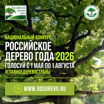 Выбираем Российское дерево года - 2026! 🌳
